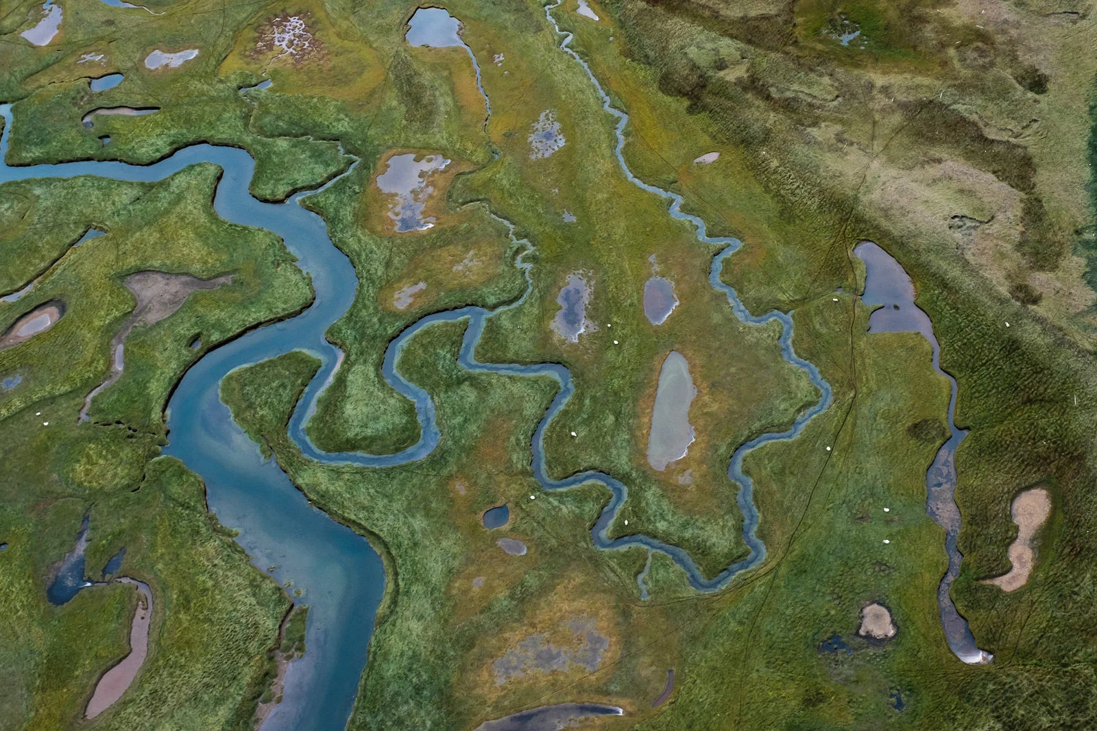 blue strokes on green, shot taken from a small airplane (XF 16-55mm f2.8 at 35mm 1/1000 f5.6 ISO800)