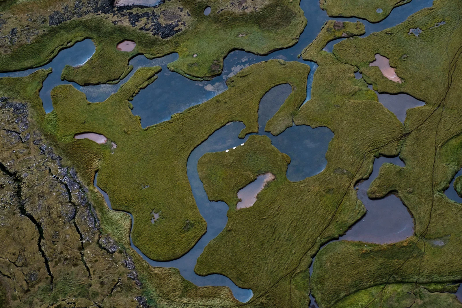 three sleeping swans, shot taken from a small airplane (XF 16-55mm f2.8 at 35mm 1/1000 f5.6 ISO800)