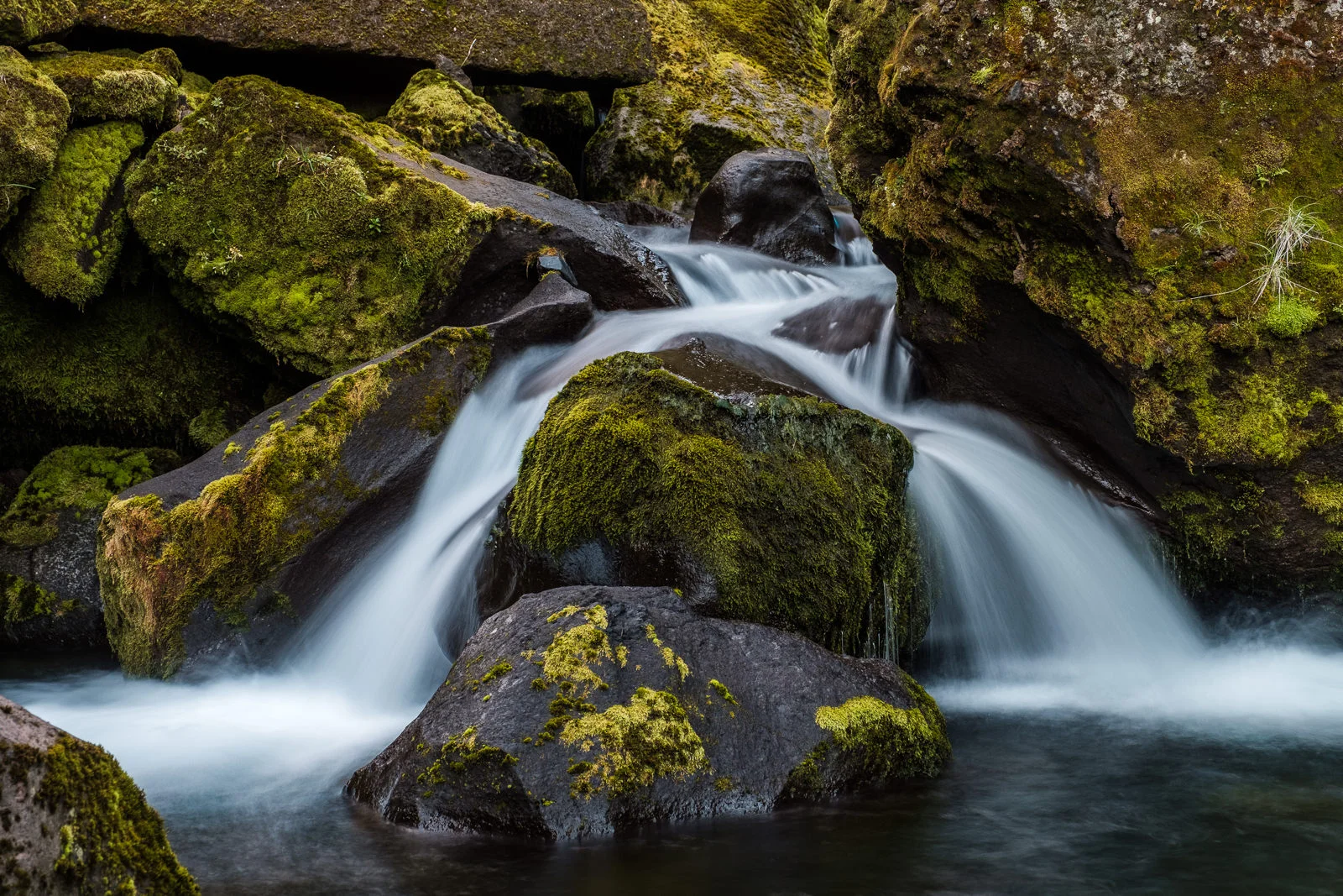 water and moss (XF 16-55mm f2.8 at 44mm 1s f8 ISO200)