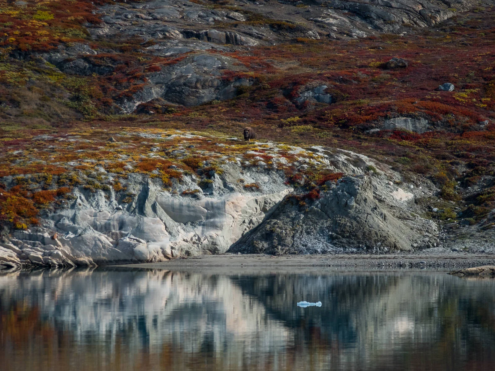 _T2A3772.jpg