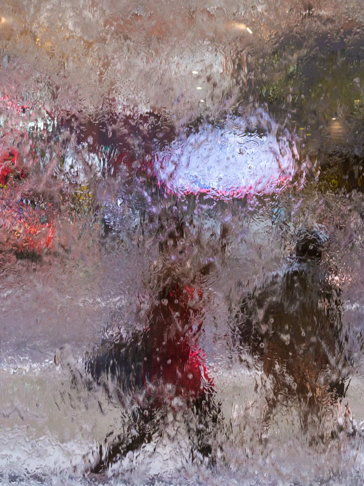 _GFX1821.jpg
