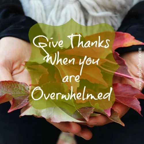 give-thanks-when-you-are-overwhelmed.jpg