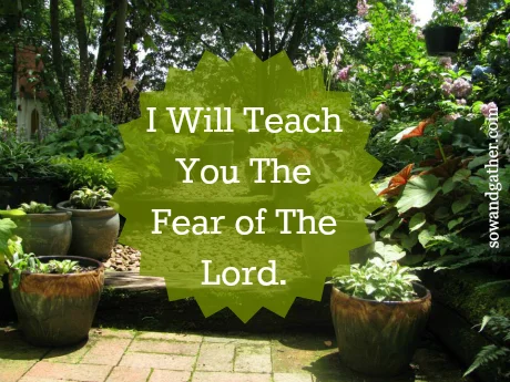 2.4.16 I Will Teach You The Fear Of The Lord Sowandgather.jpg