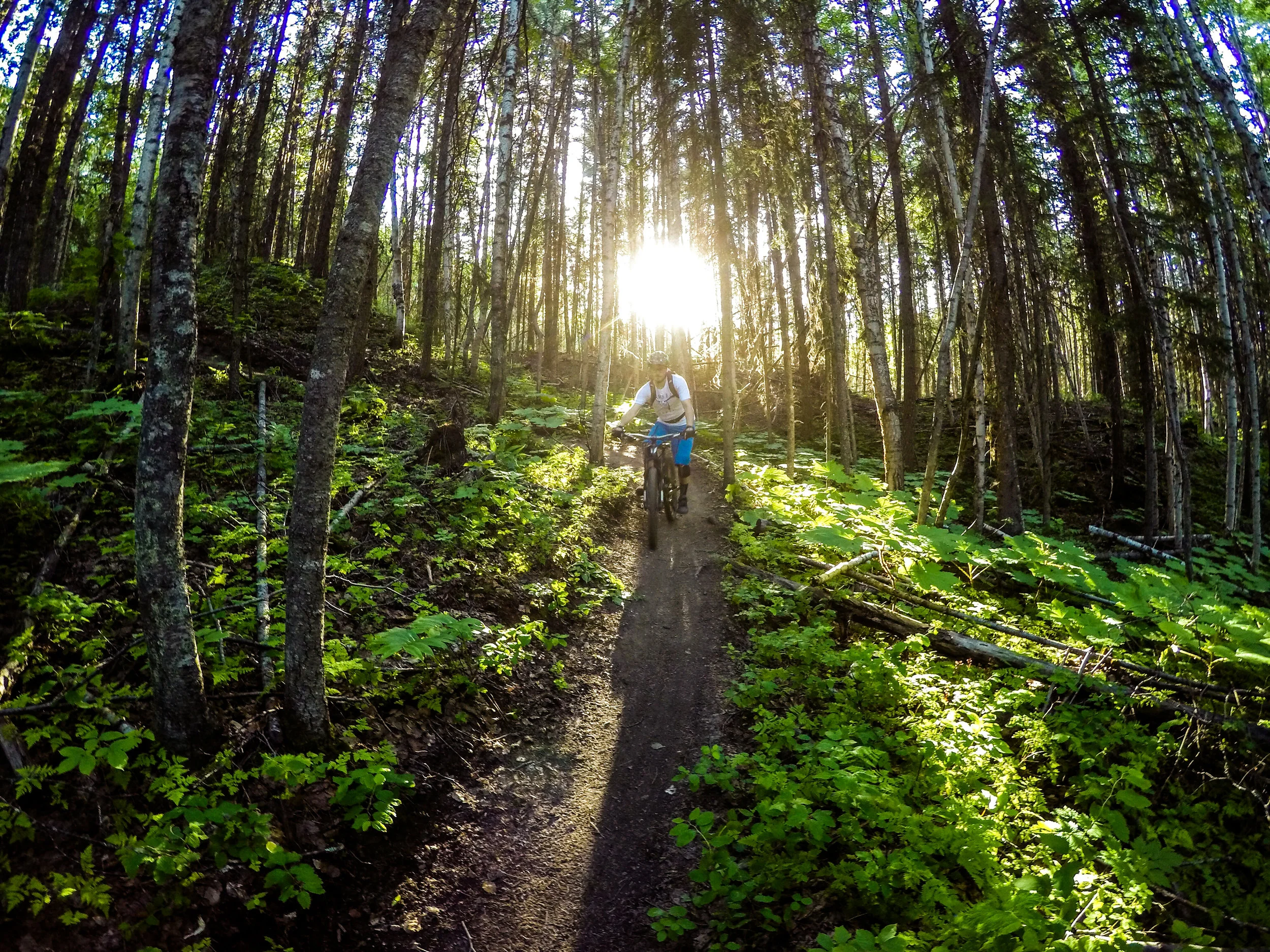 Equity and Sustainability in the Backcountry