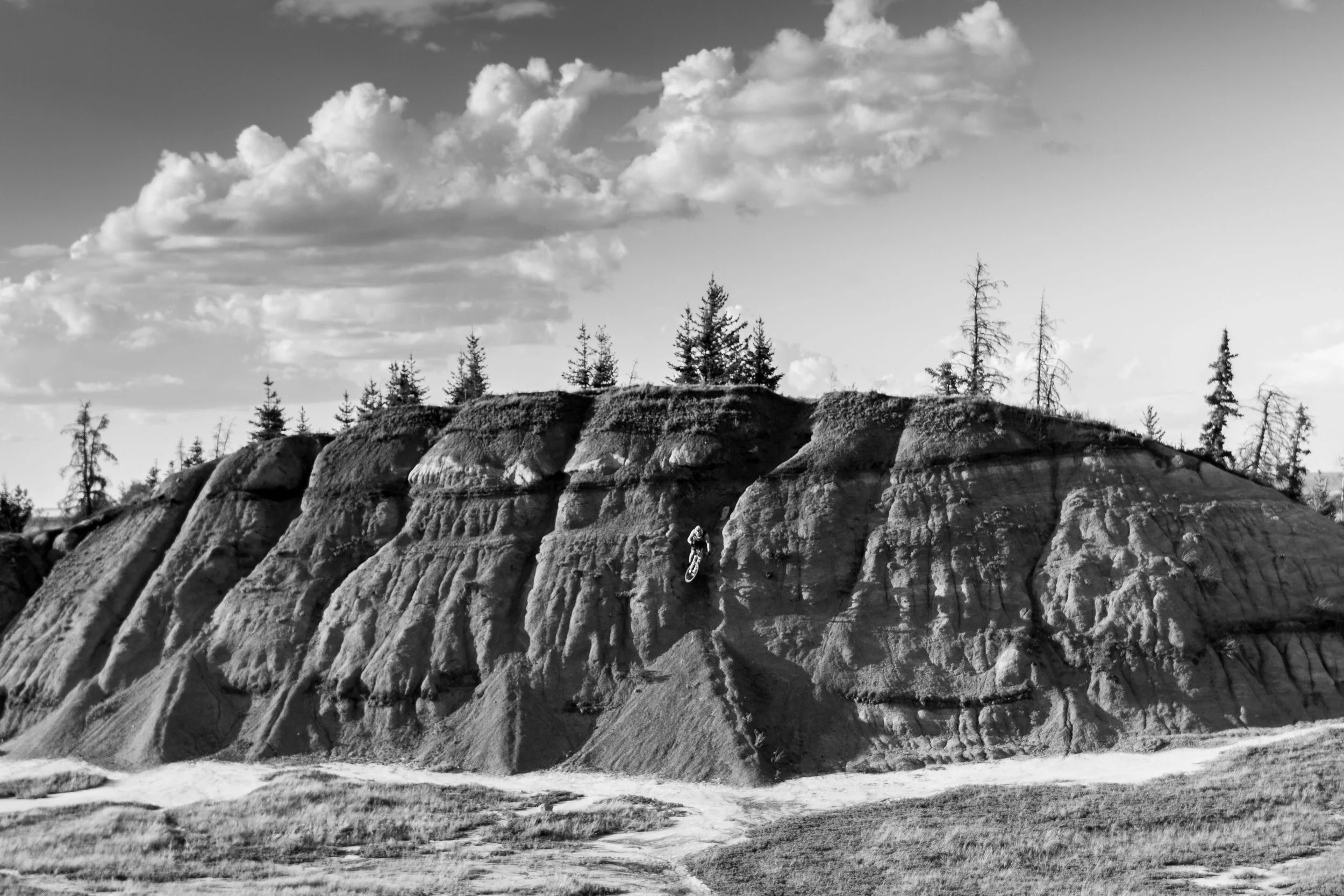 Photo credit: Shane Wiebe