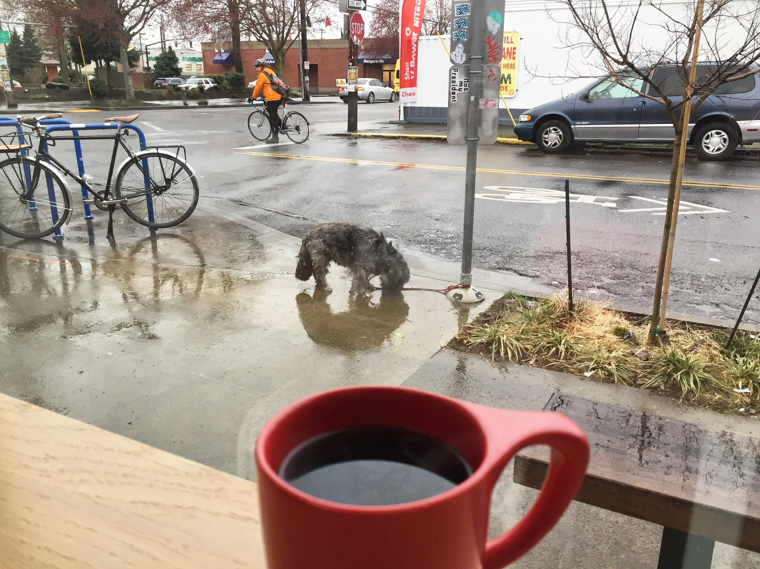 Enjoying coffee at Upper Left Roasters while waiting for a friend.