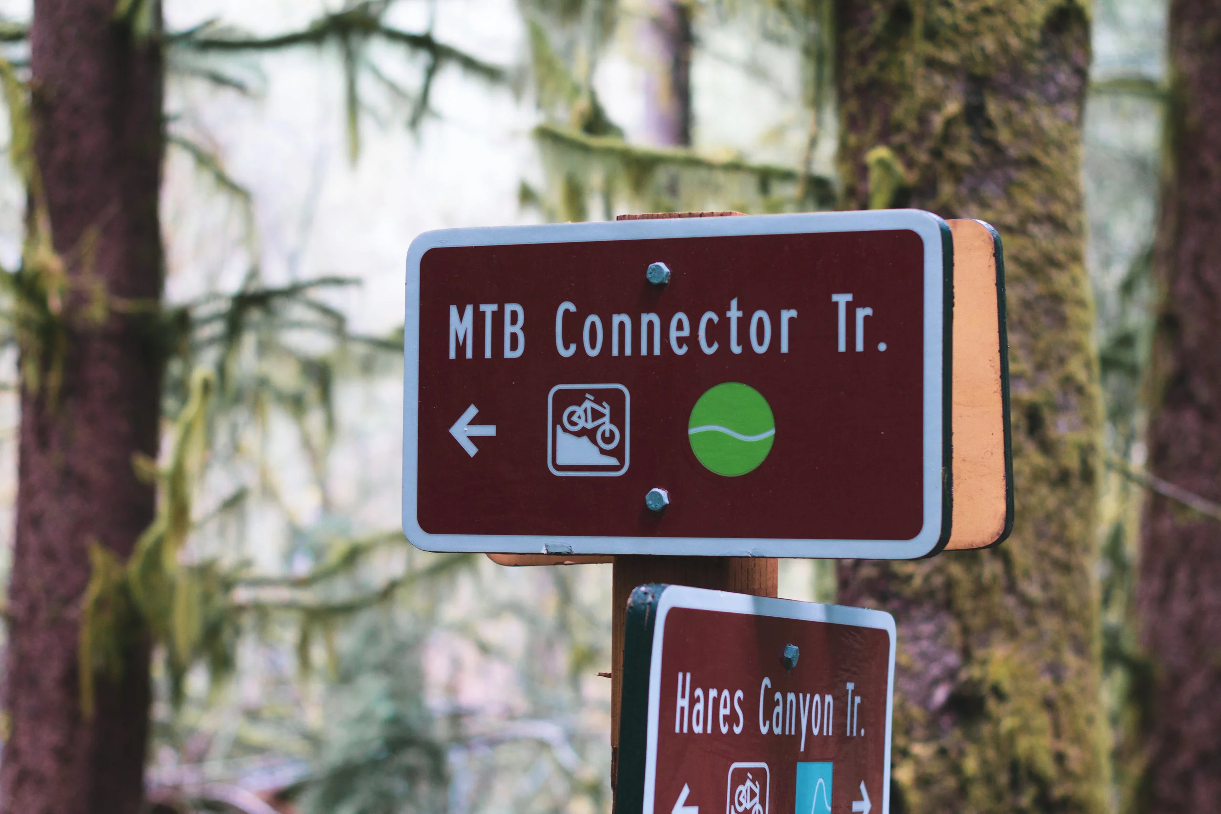 trail (1 of 1)-3.jpg