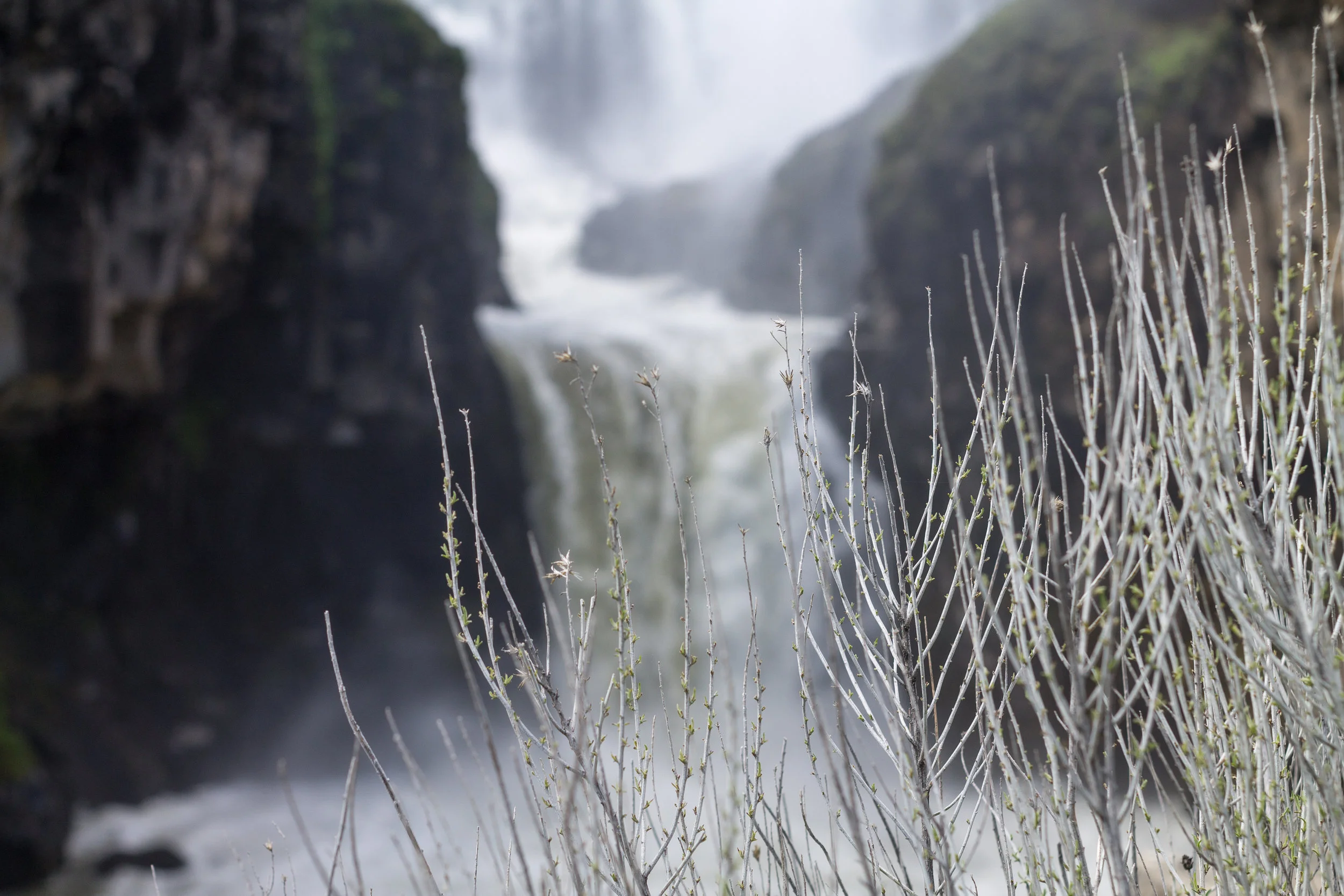 waterfall (1 of 1)-9.jpg