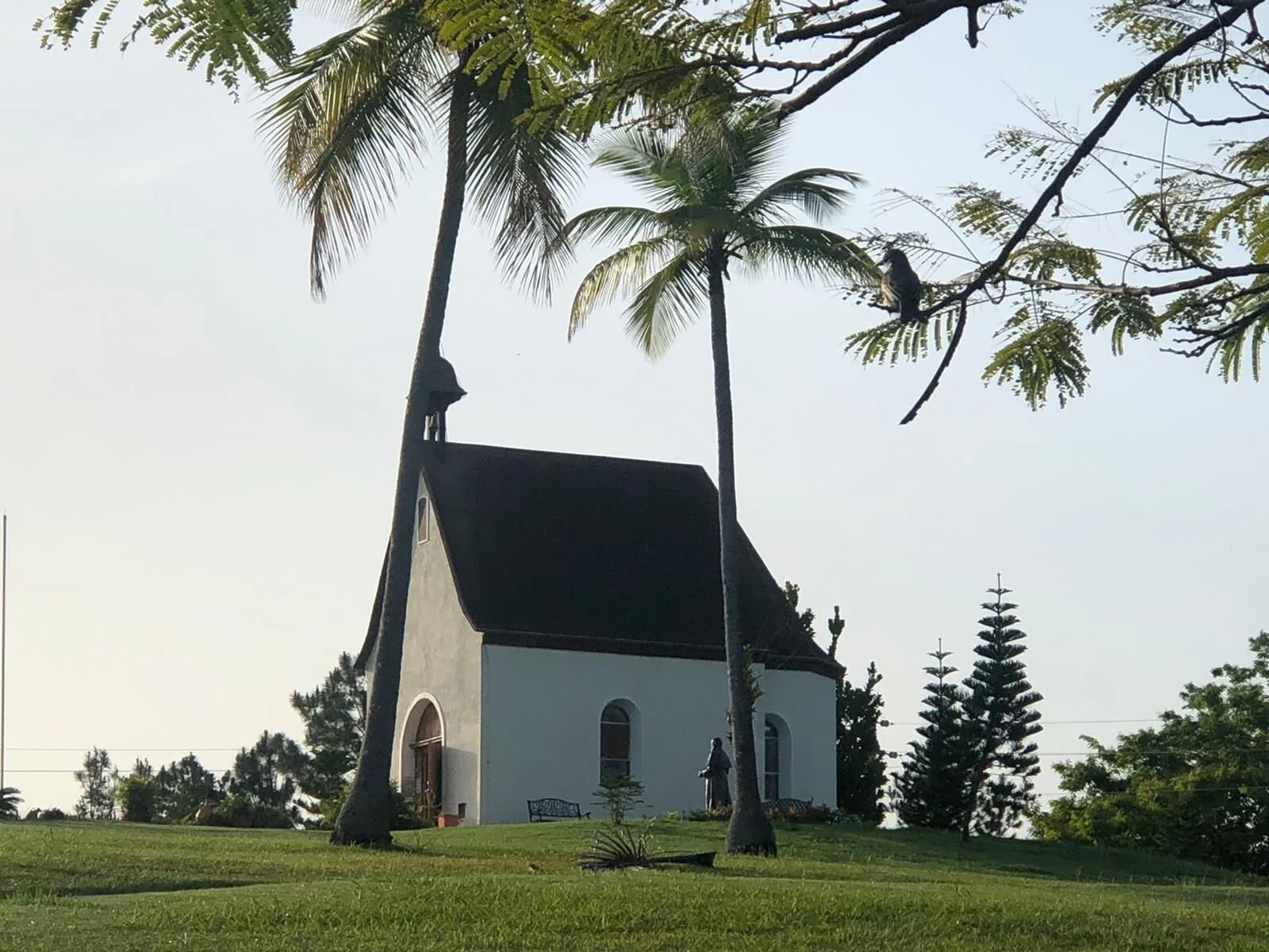 WhatsApp Image 2021-06-19 at 7.10.13 PM-2.jpeg