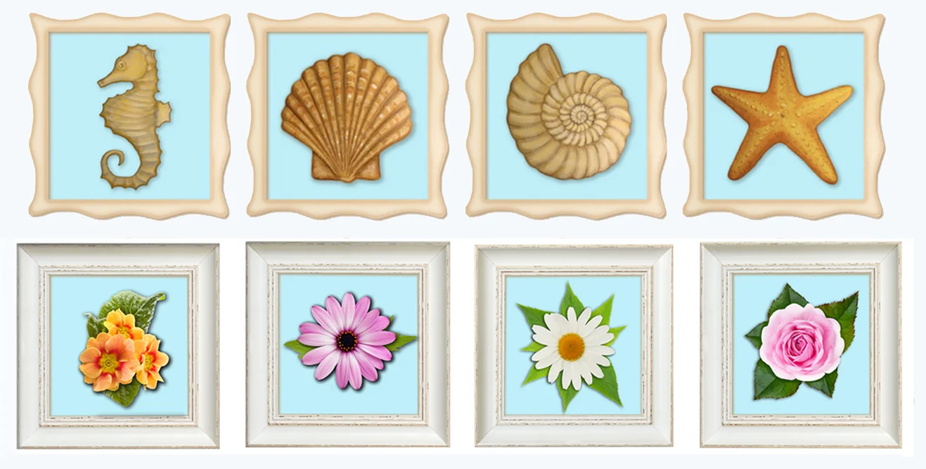Shell and Flower Frames blue background.jpg