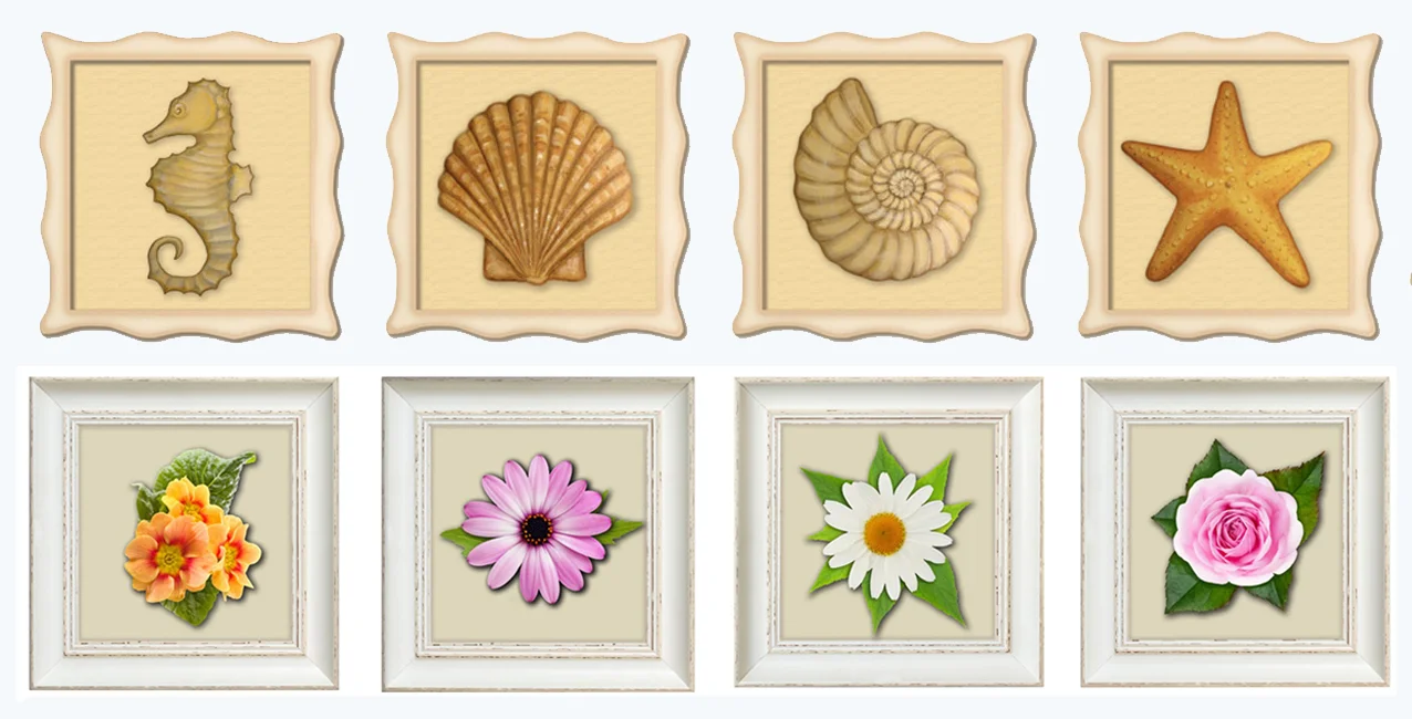 Shell and Flower Frames tan background.jpg