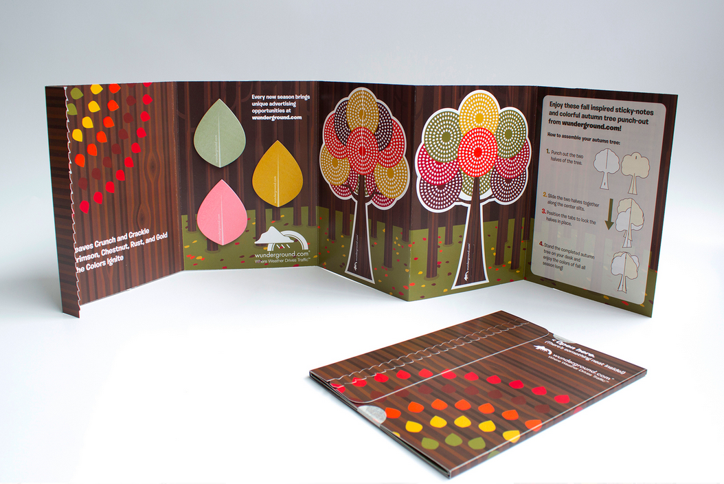 Fall Haiku Direct Mailer