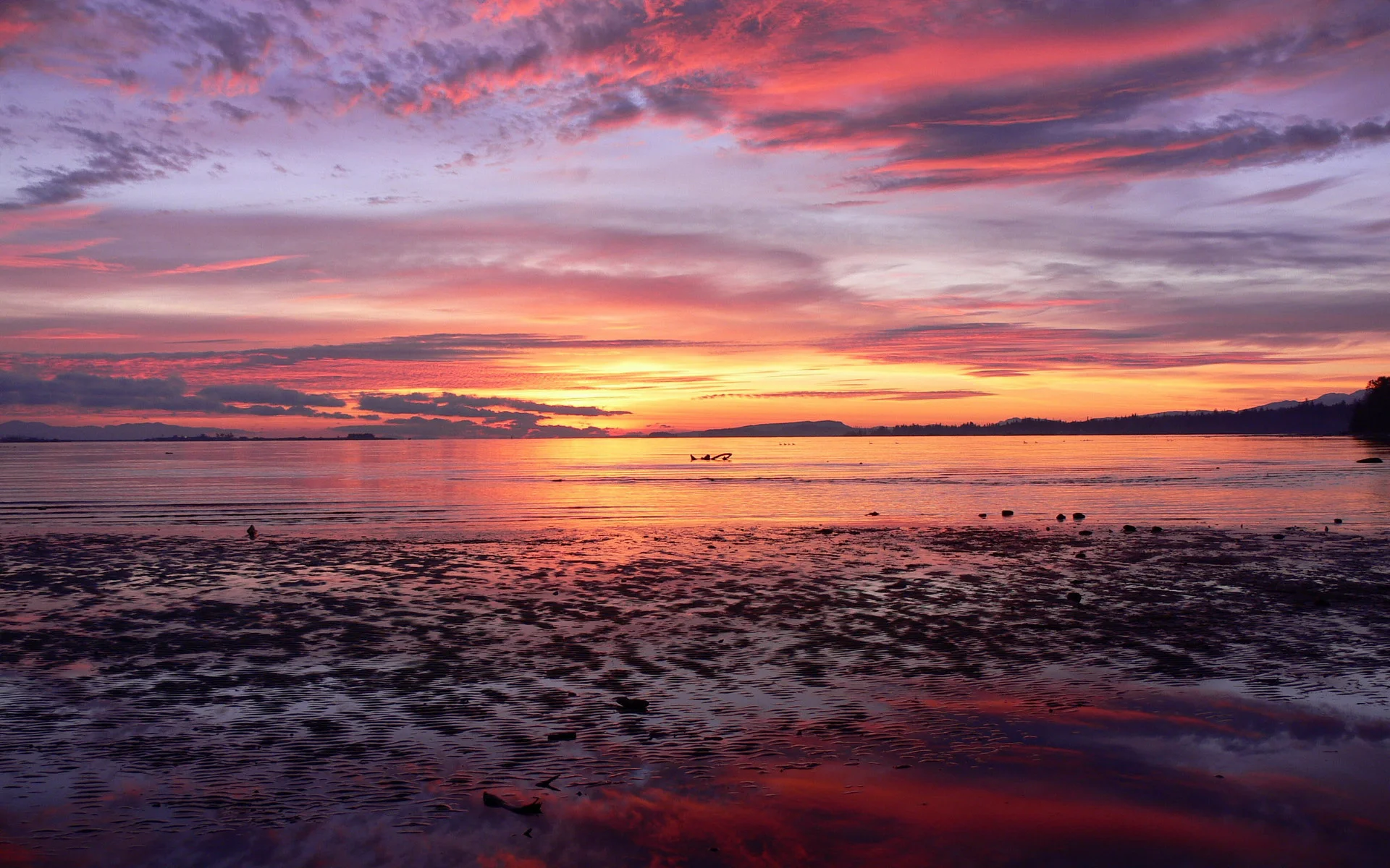 beautiful-beach-sunrise-20150511084433-55506bf12cb20.jpg