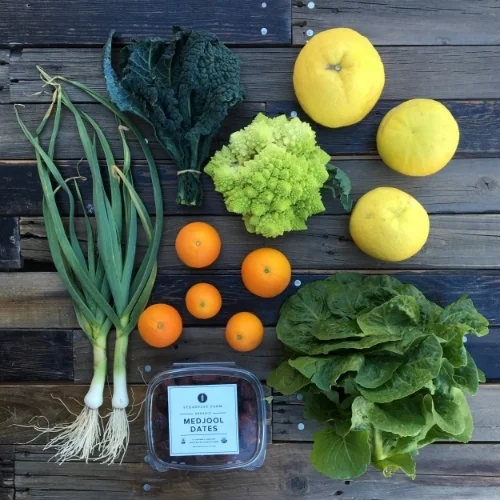 Fall/Winter CSA Week 16
