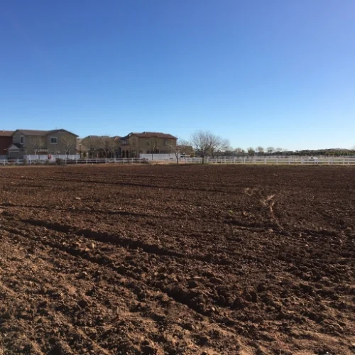 Marked out field #2