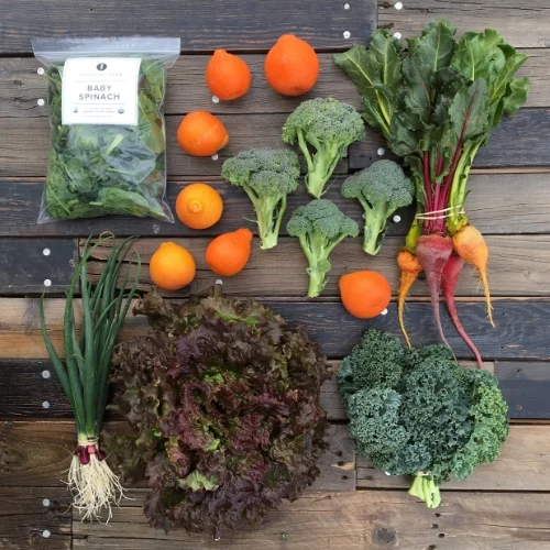 Spring/Summer CSA Week 1