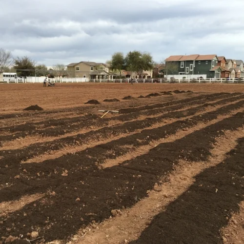 Spreading compost on new beds