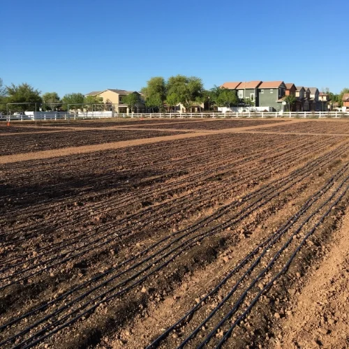 New field blocks are complete and ready to plant into