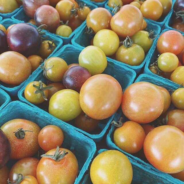 Tomatoes in February.