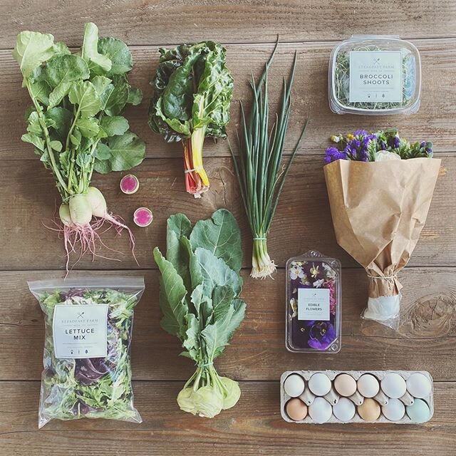 Fall/Winter CSA Week 16: Watermelon Radishes, Lettuce Mix, Kohlrabi, Rainbow Chard, Bunching Onions, Broccoli Shoots, Edible Flowers. Add-Ons: Flower Bouquet and Pastured Eggs. Want to join? Go to www.steadfast-farm.com/csa for more info and to sign 