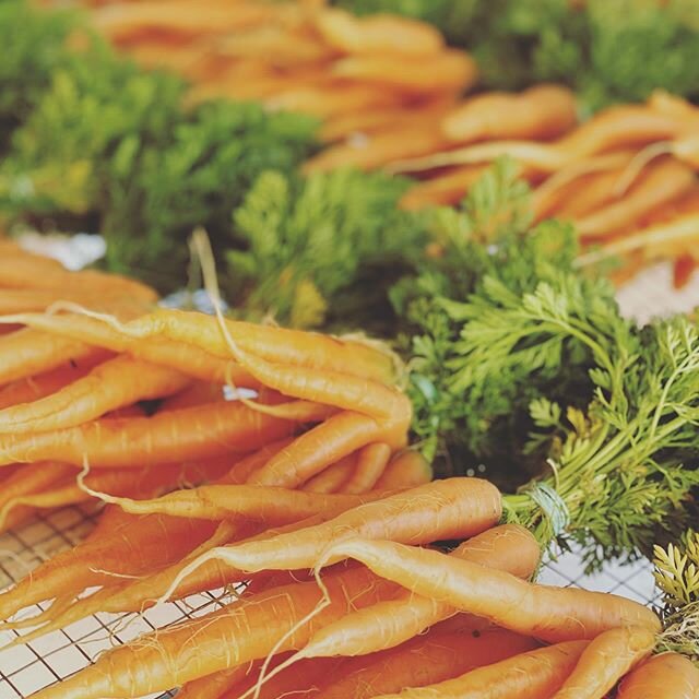 We take great care in growing and handling the veggies and eggs that we produce for our community. We will continue grow and sell our produce and eggs to ensure that you have the best, most nutrient dense food for you and your family. Our farm store 