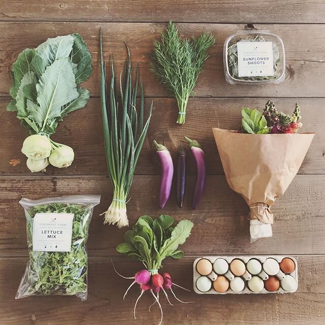 Spring/Summer CSA Week 2: Lettuce Mix, Easter Egg Radishes, Bunching Onions, Japanese Eggplant, Sunflower Shoots, Kohlrabi, Dill. Add-Ons: Flower Bouquet and Pastured Eggs.