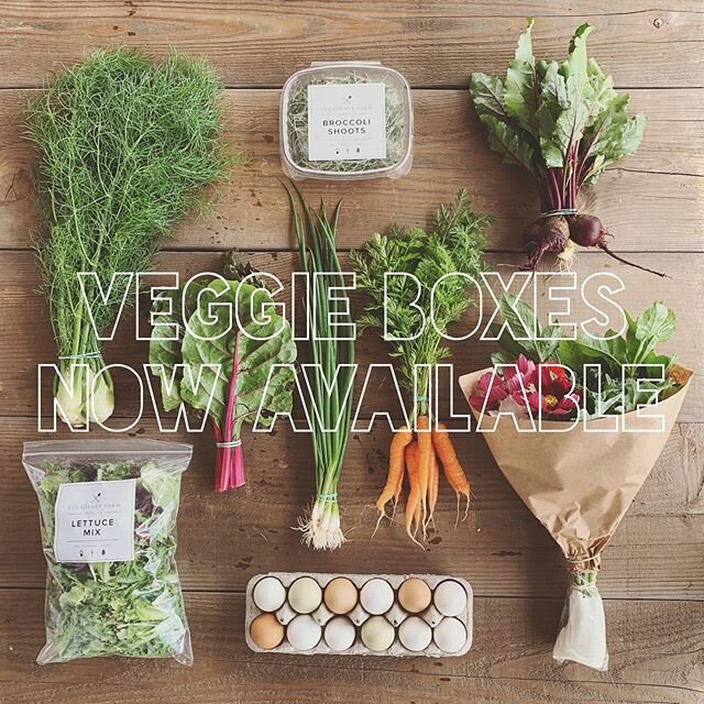 Veggie Boxes are now available! We are offering single boxes and weekly subscription (cancel anytime). You can also add a dozen of our pastured chicken eggs or a bouquet of flowers to each box. 10 pick-up options to choose from.  Veggie boxes must be