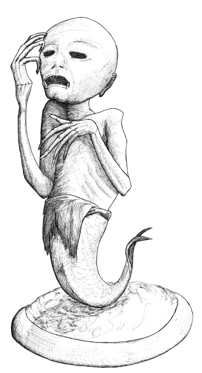 MUN-P-5-feejee.jpg