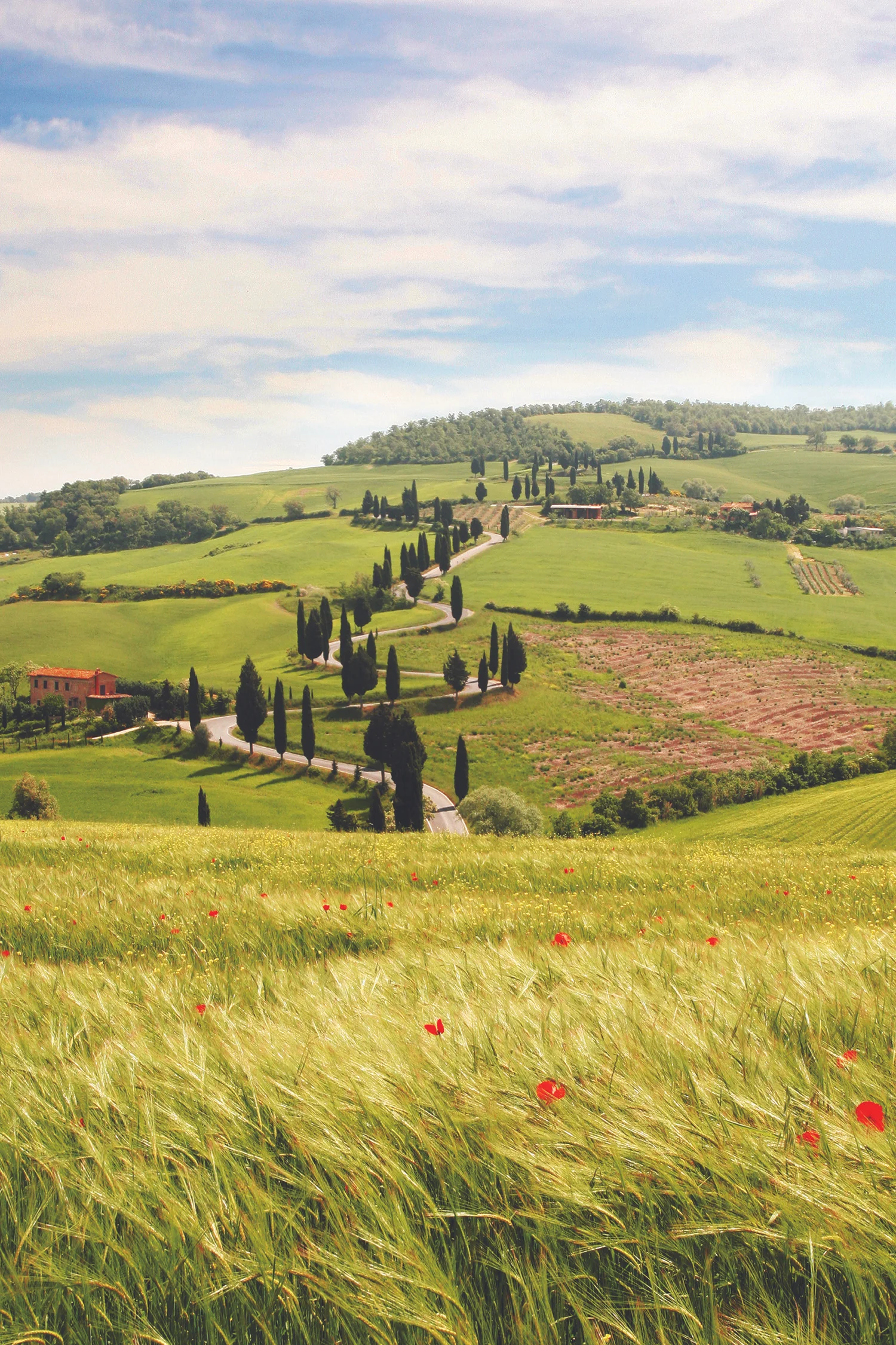 Tuscany Road