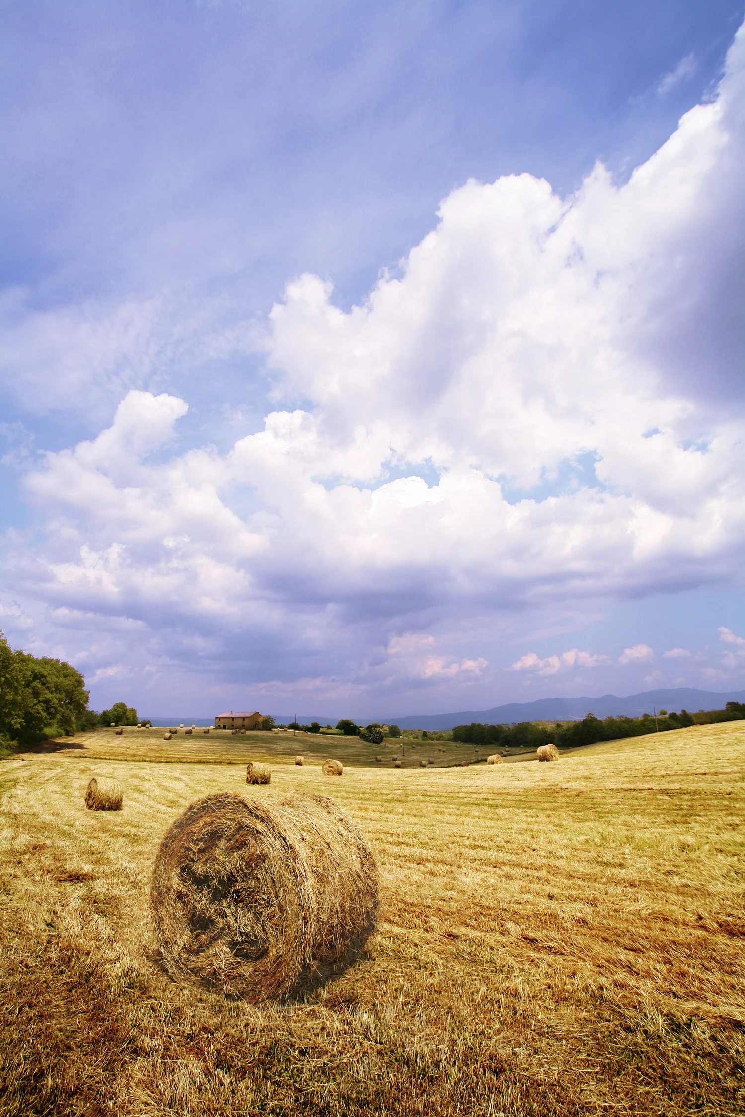 Haybales Tuscany