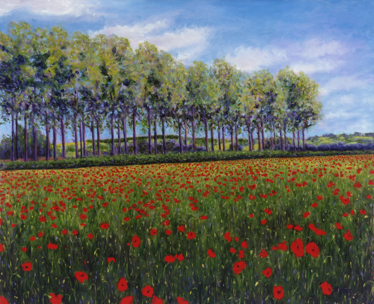Poppies and Poplars