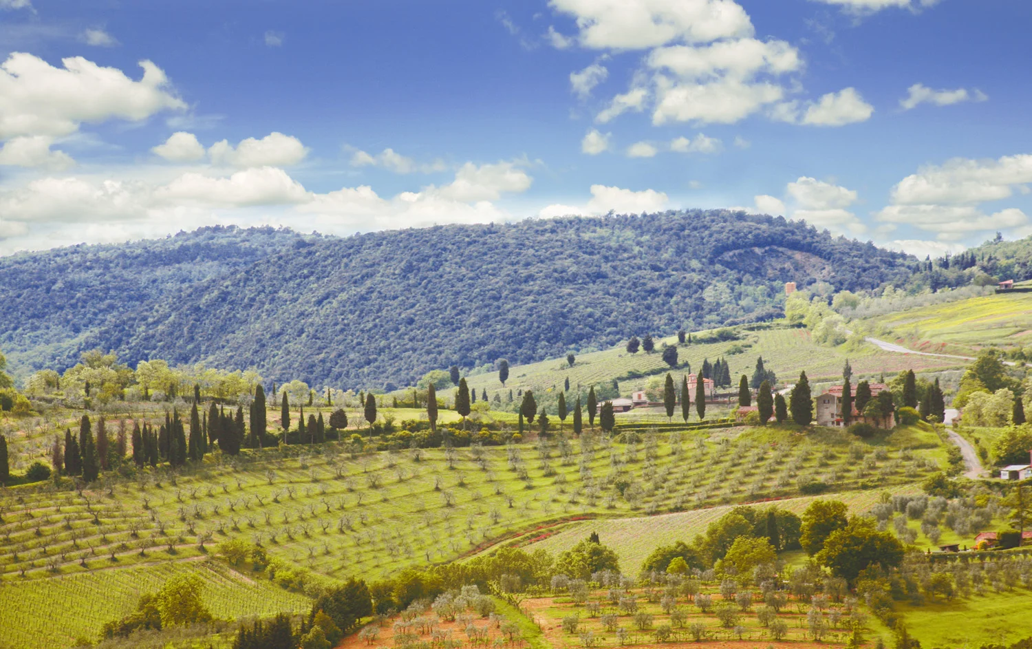 Tuscan Landscape