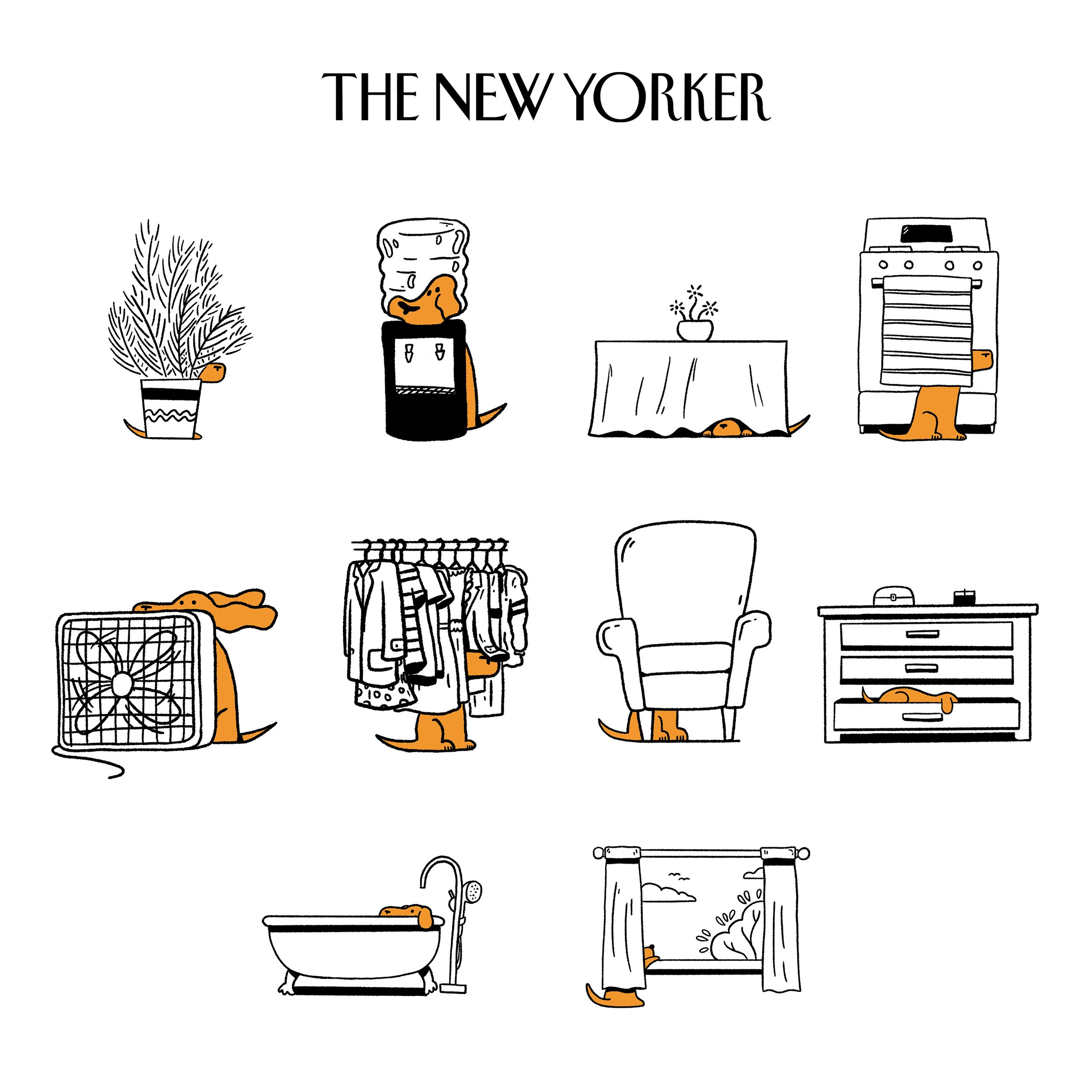 Shy Dog Spots for The New Yorker