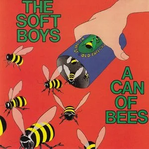 Soft Boys can.jpg