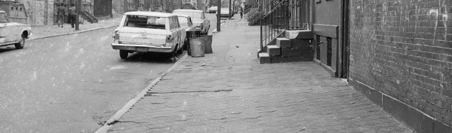 HC Episode 26: Ants on the Sidewalk