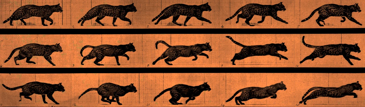 Episode 24: Sequences