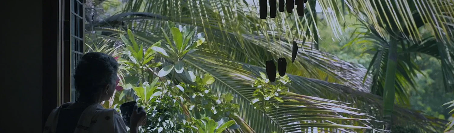 Episode 31: HaikuWALL India