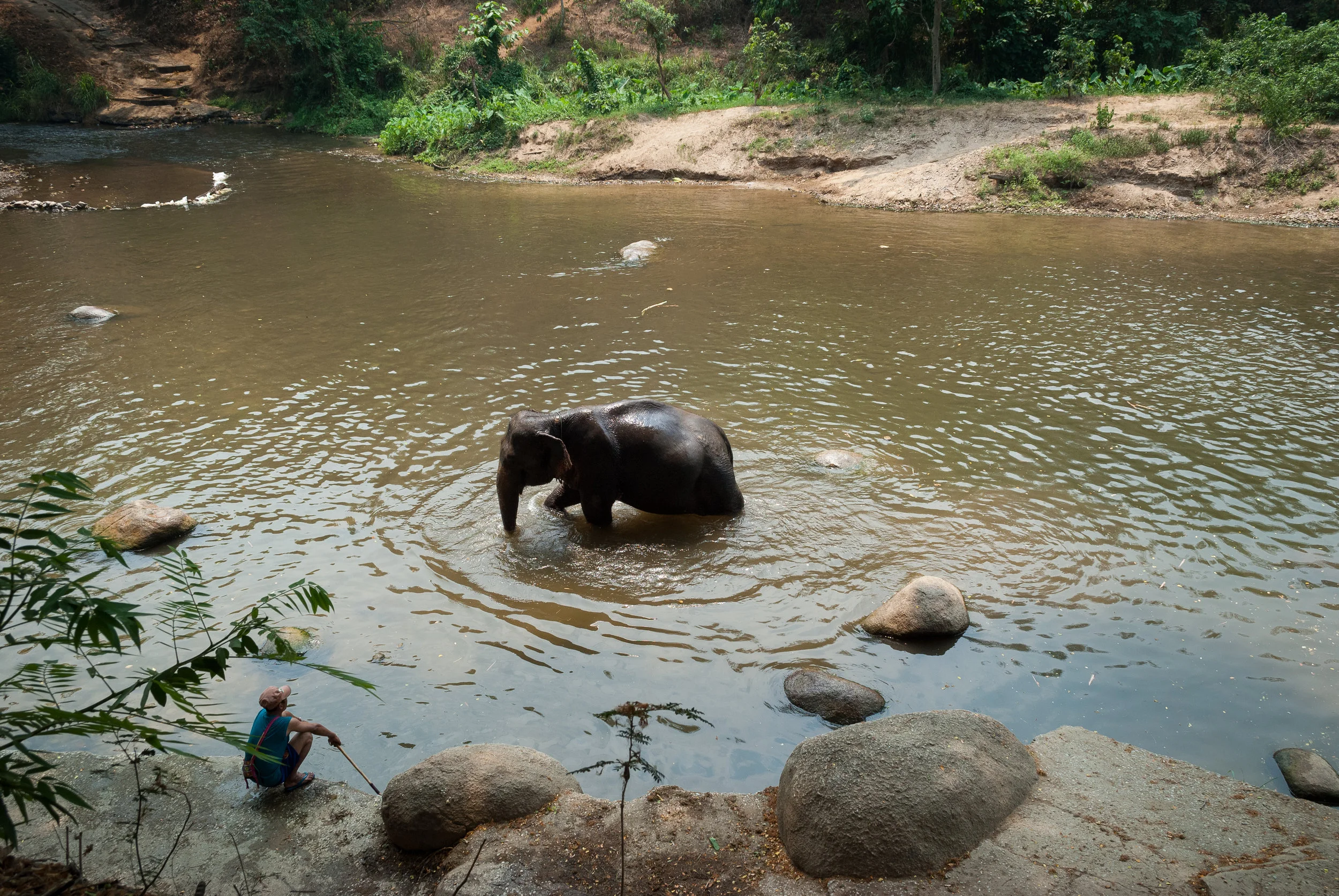 Time for a bath in Chiang Mai, Thailand