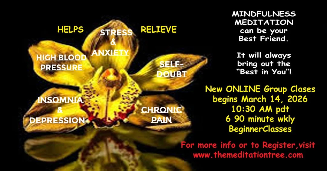 Mindfulness Meditation