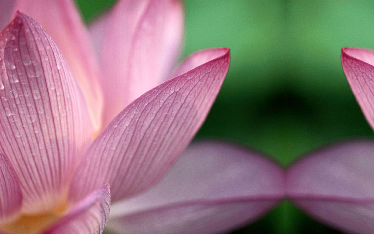 image21781.png