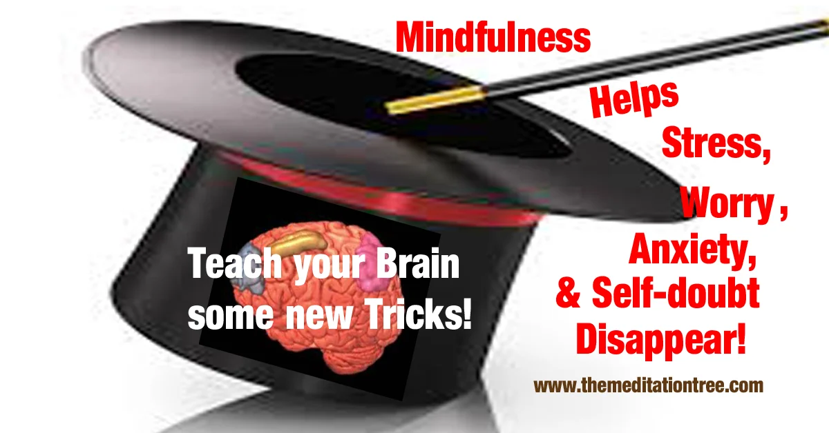 Our “Tricky” Brain