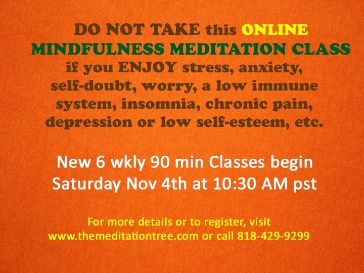 DO NOT TAKE MINDFULNESS MEDITATION CLASSES…