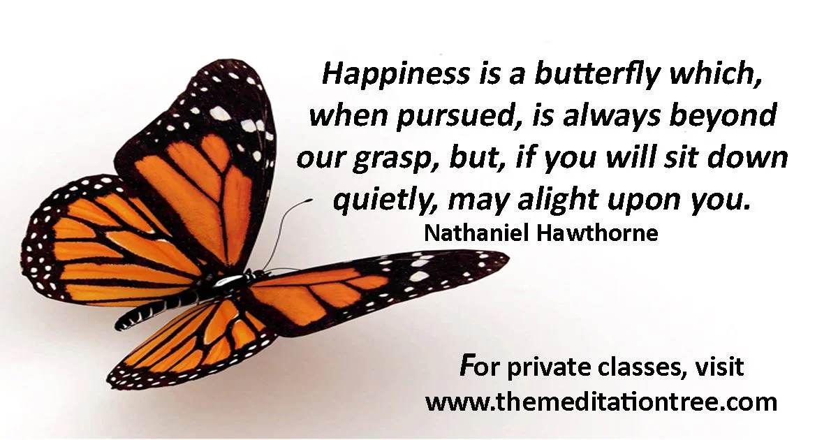Mindfulness is “tapping into our personal butterfly”