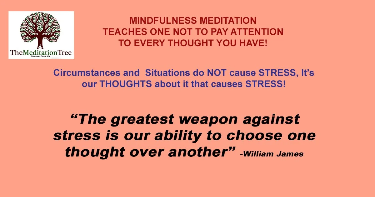 Does Mindfulness Meditation Work? Let’s Find Out