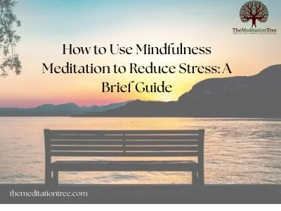 How to Use Mindfulness Meditation to Reduce Stress: A Brief Guide