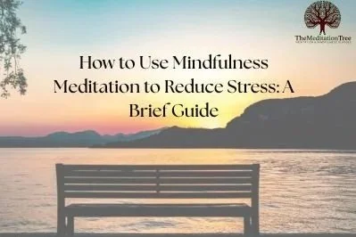 How to Use Mindfulness Meditation to Reduce Stress: A Brief Guide