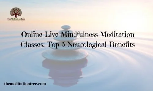 Live Mindfulness Meditation.jpg