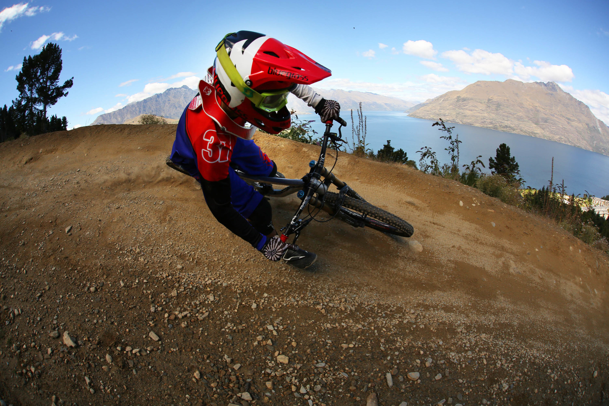 Gruber - Berm LOW