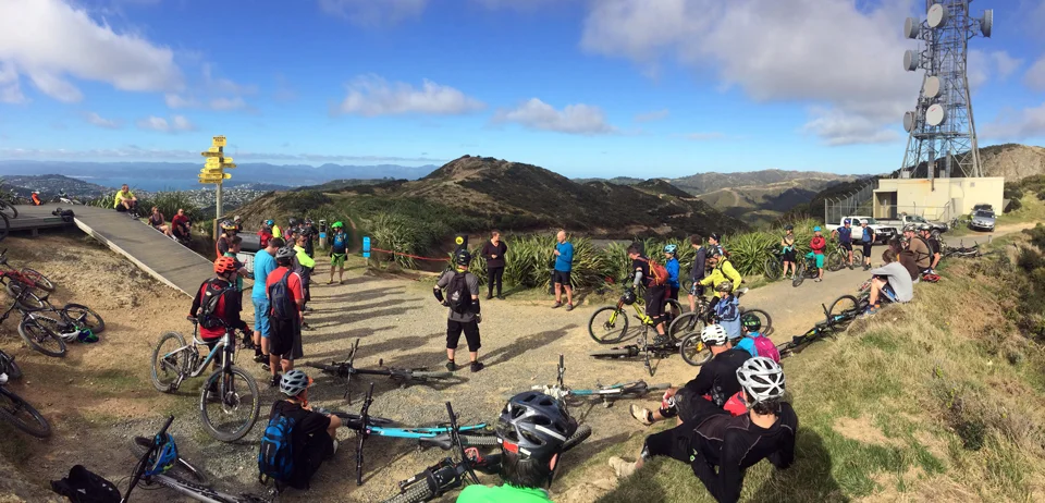 Wellington8