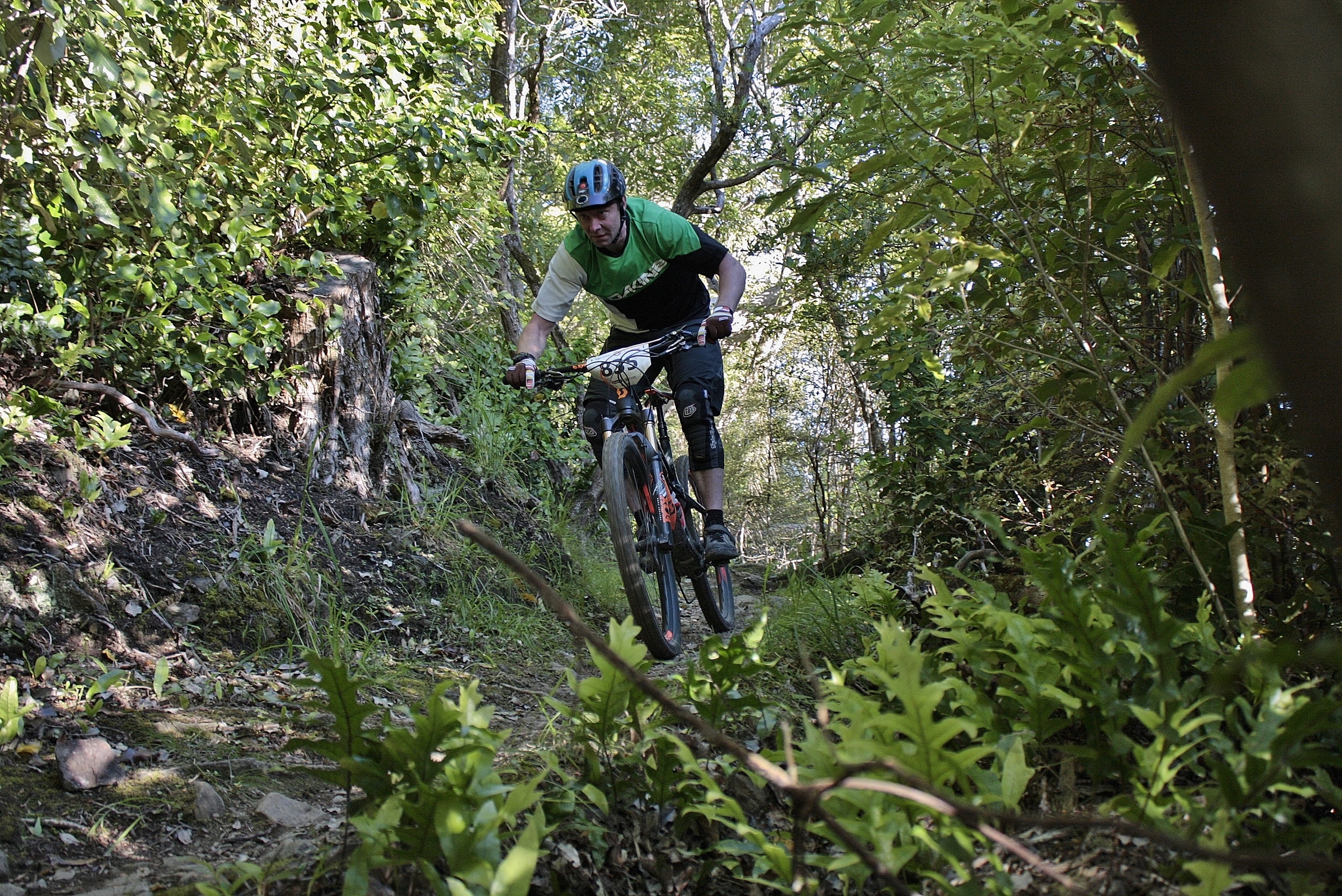 Native bush and Mike Anderson charging.